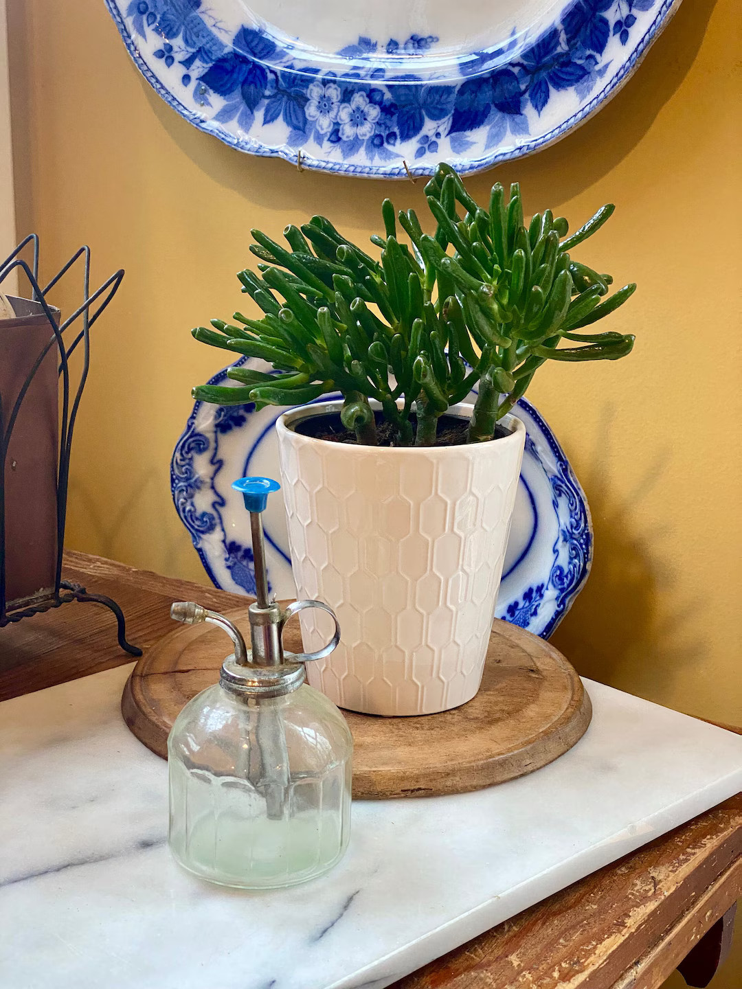 Fabulous Vintage Glass Plant Mister Perfect Gift for Plant Lover! - Etsy | Etsy (US)