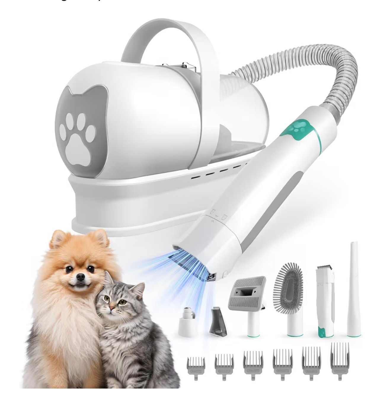 Current Favorite go to Dog must haves

#LTKselfcare #LTKmomlife #LTKHome