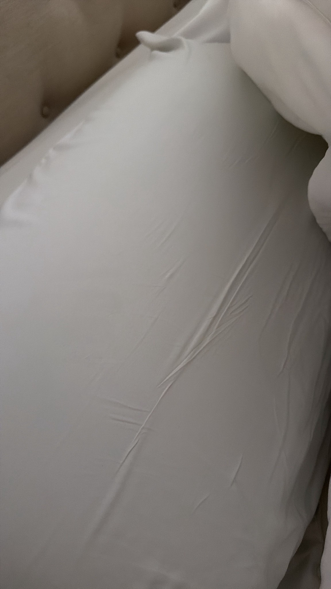 Silk pillowcase, pillow and comforter  on sale!

#LTKSaleAlert