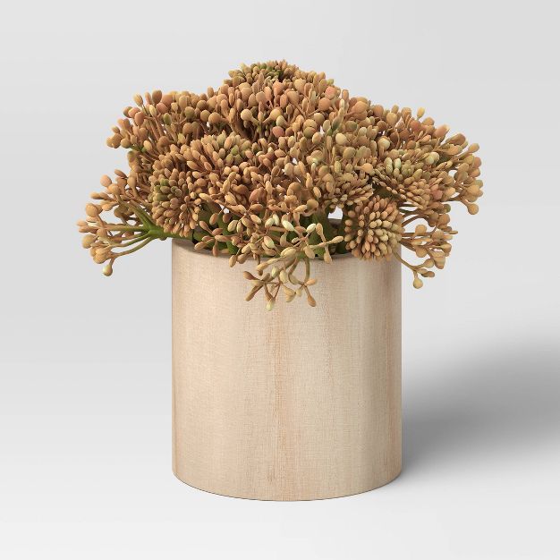 Sedum in Wood Pot Mauve - Threshold™ | Target