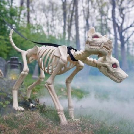 Animated 2 headed skeleton dog 

#LTKHalloween #LTKSeasonal