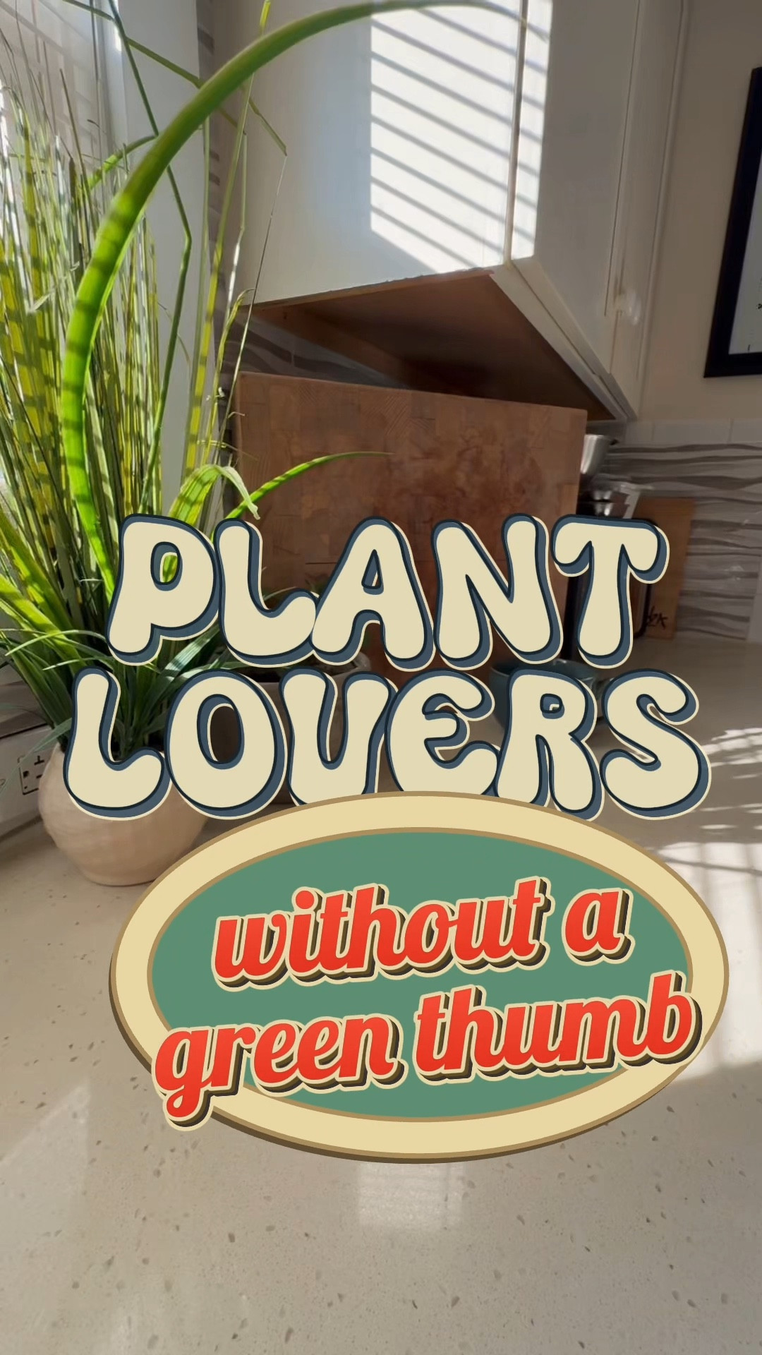 If you're a plant lover but you don't have a green thumb, let the AeroGarden Tabletop Grow Light help you (& your plants) out, because one of the biggest reasons plants aren't thriving is because of inadequate lighting!✨

#PlantTok #growlight #planthacks #plantlovers #indoorplants #indoorgardening #gardening 

#LTKGiftGuide #LTKHoliday #LTKCyberWeek