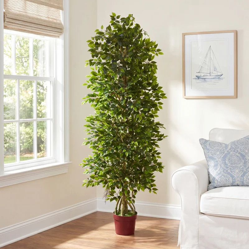 If your room feels a little empty… I promise it’s missing a faux tree 😭✨ like it’s the easiest fix ever. Joss & Main and Birch Lane are having Black Friday in July deals and the options are SO good right now. These ultra-lush faux plants literally look real… like you’ll forget they’re fake lol. Perfect for styling next to a sofa, bed, or even in your entryway for that clean aesthetic vibe. It’s low effort but high impact and honestly that’s my favorite kind of decor.

#LTKHomeInspo #BlackFridayDeals #FauxPlantsDecor #HomeGlowUp #ModernDecor #NeutralHome #AestheticLiving #DecorTrends #CozyVibes #SaleFinds 

 #LTKSeasonal #LTKHome #LTKSaleAlert