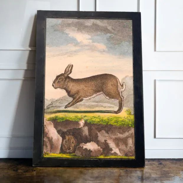 Rustic Framed Vintage Brown Bunny Tall Wall Art | Antique Farm House