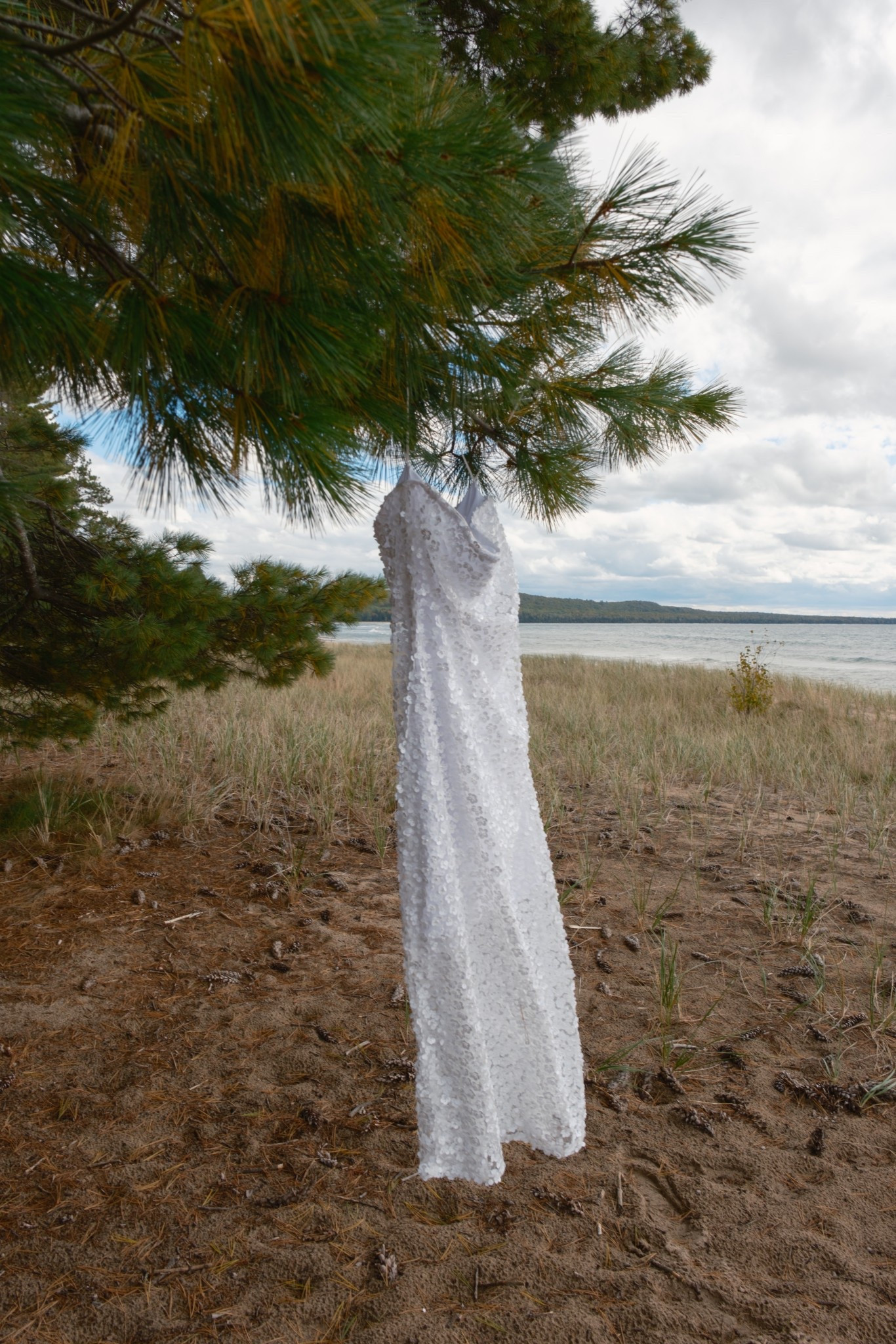 White dress for every bridal & wedding occasion 

#LTKWedding #LTKStyleTip #LTKSpringSale