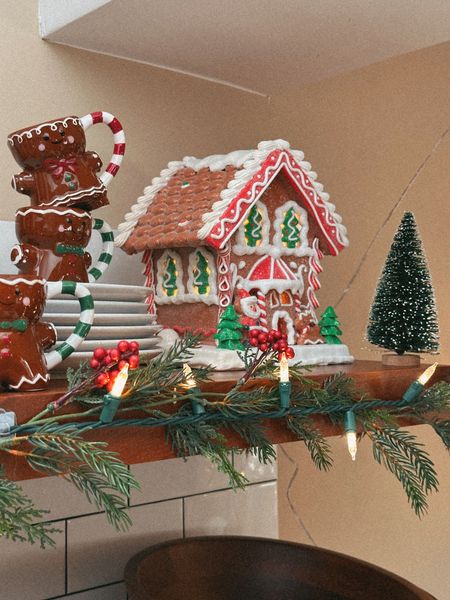 Picked up this cute light up gingerbread house from tjmaxx.com 
