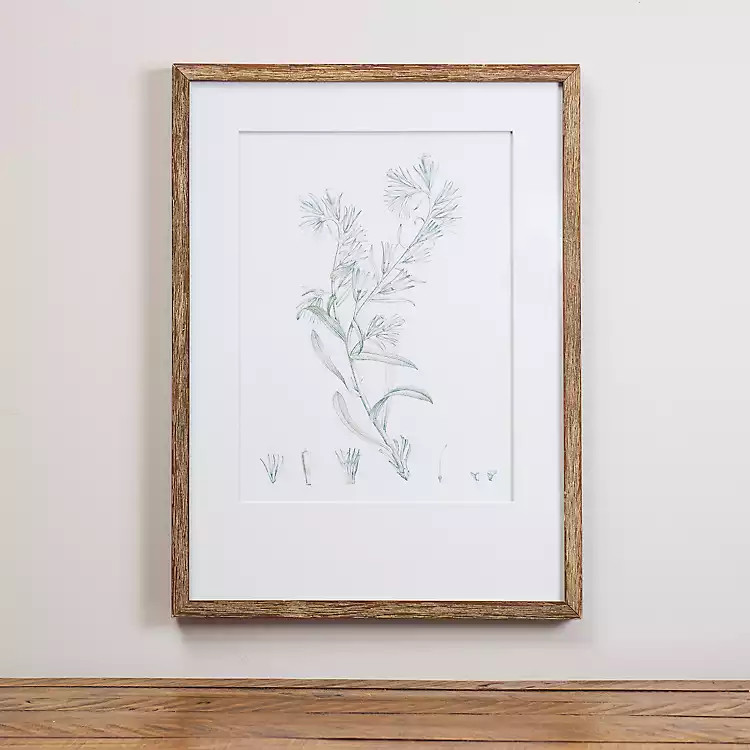 Study in Sage I Framed Art Print | Kirkland's Home