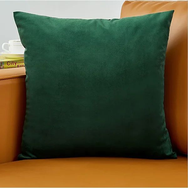 Horatio Square Velvet Pillow Cover (Set of 2) | Wayfair North America