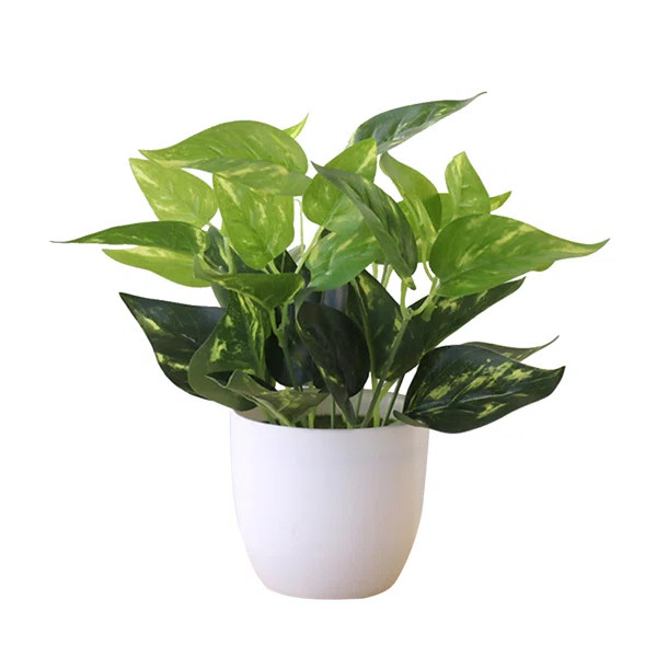 Artificial Foliage Plant in Planter | Wayfair Professional