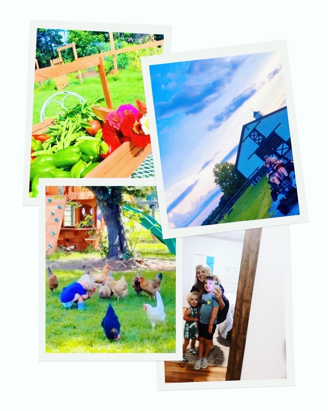 c a m e r a  r o l l  f r o m  t h e  w e e k 🎞️🧺👩‍🌾🌼👶🏼🌾🦋🌳💖🚜☀️📚🐓📖☕️🥚💐🪴 #thisweekinphotos #latesummerdays #augustonthefarm #themabryfarm #farmhouseliving