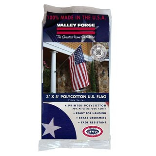 Valley Forge U.S. Flag, 3 x 5 ft | CVS Health