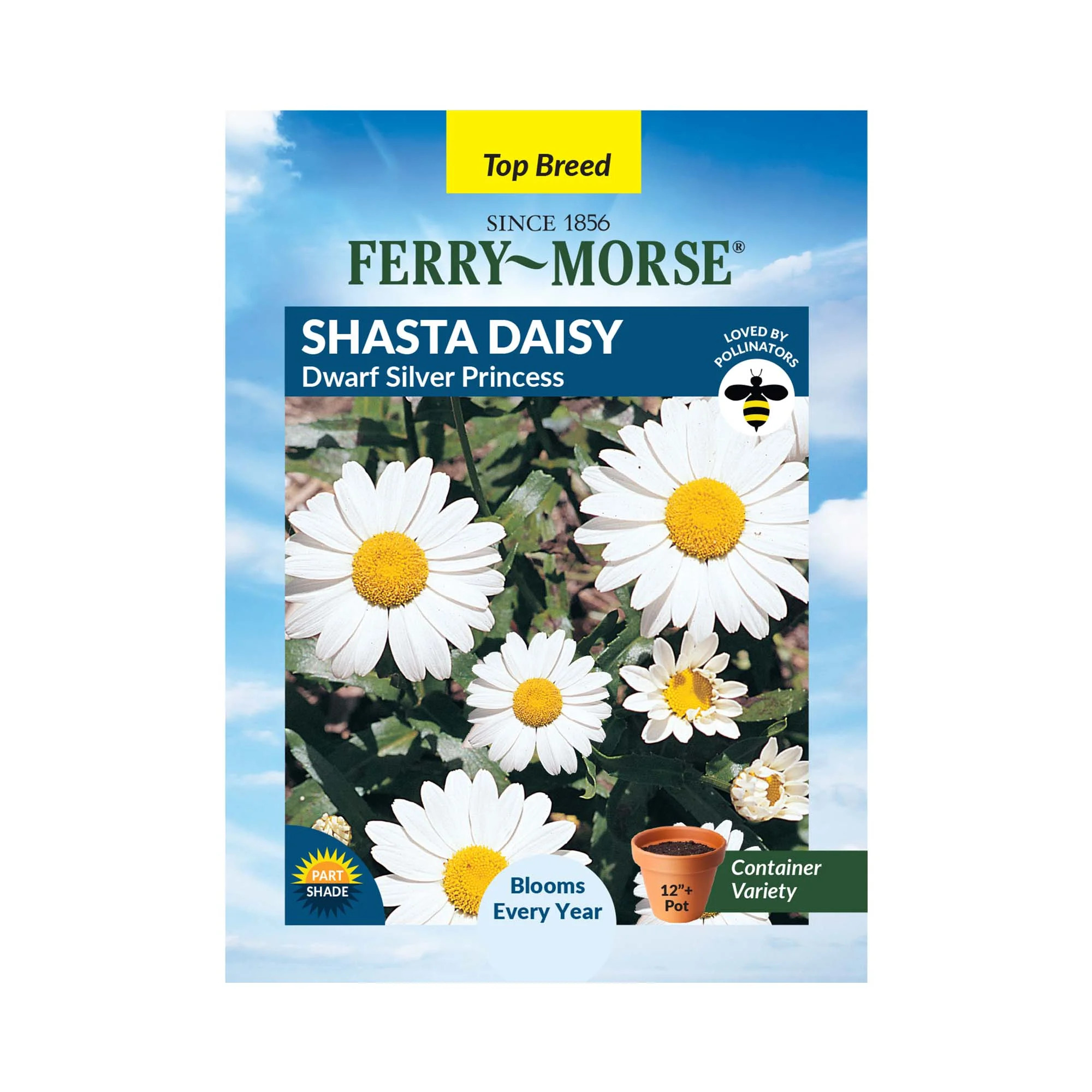 Ferry-Morse 150MG Shasta Daisy Alaska Perennial Flower Seeds, Partial Shade | Walmart (US)