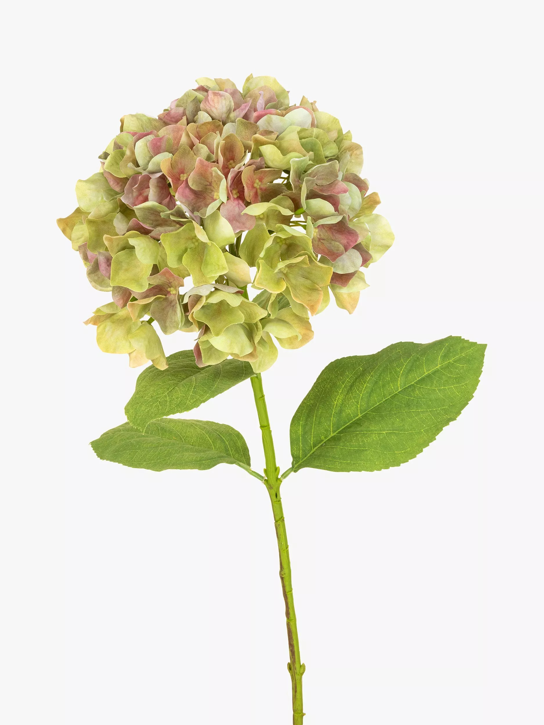 Floralsilk Artificial French Hydrangea, Green | John Lewis (UK)
