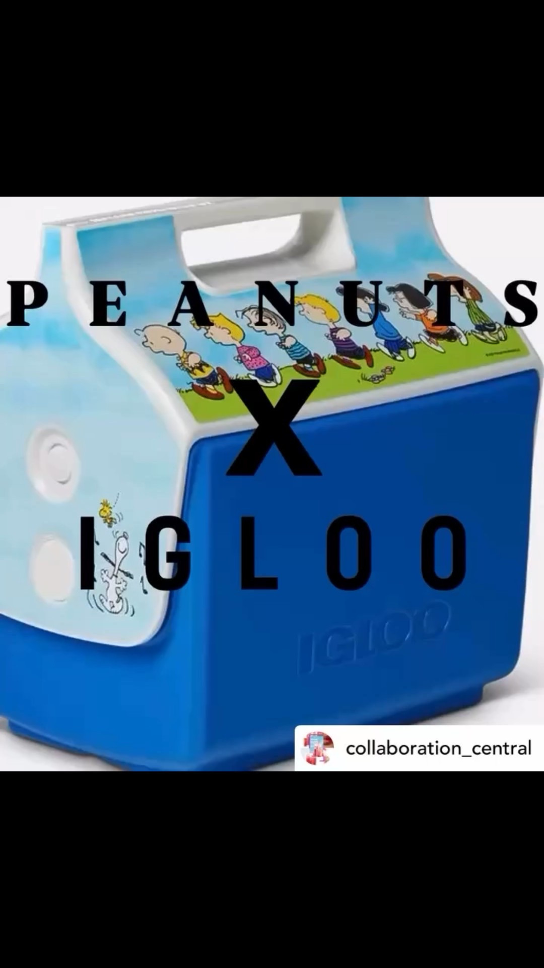 I ❤️ the Peanuts!! Check out this adorable collaboration between IGLOO  X PEANUTS  14 adorable products just in time for back to school or work!!

#LTKFindsUnder50 #LTKKids #LTKFamily