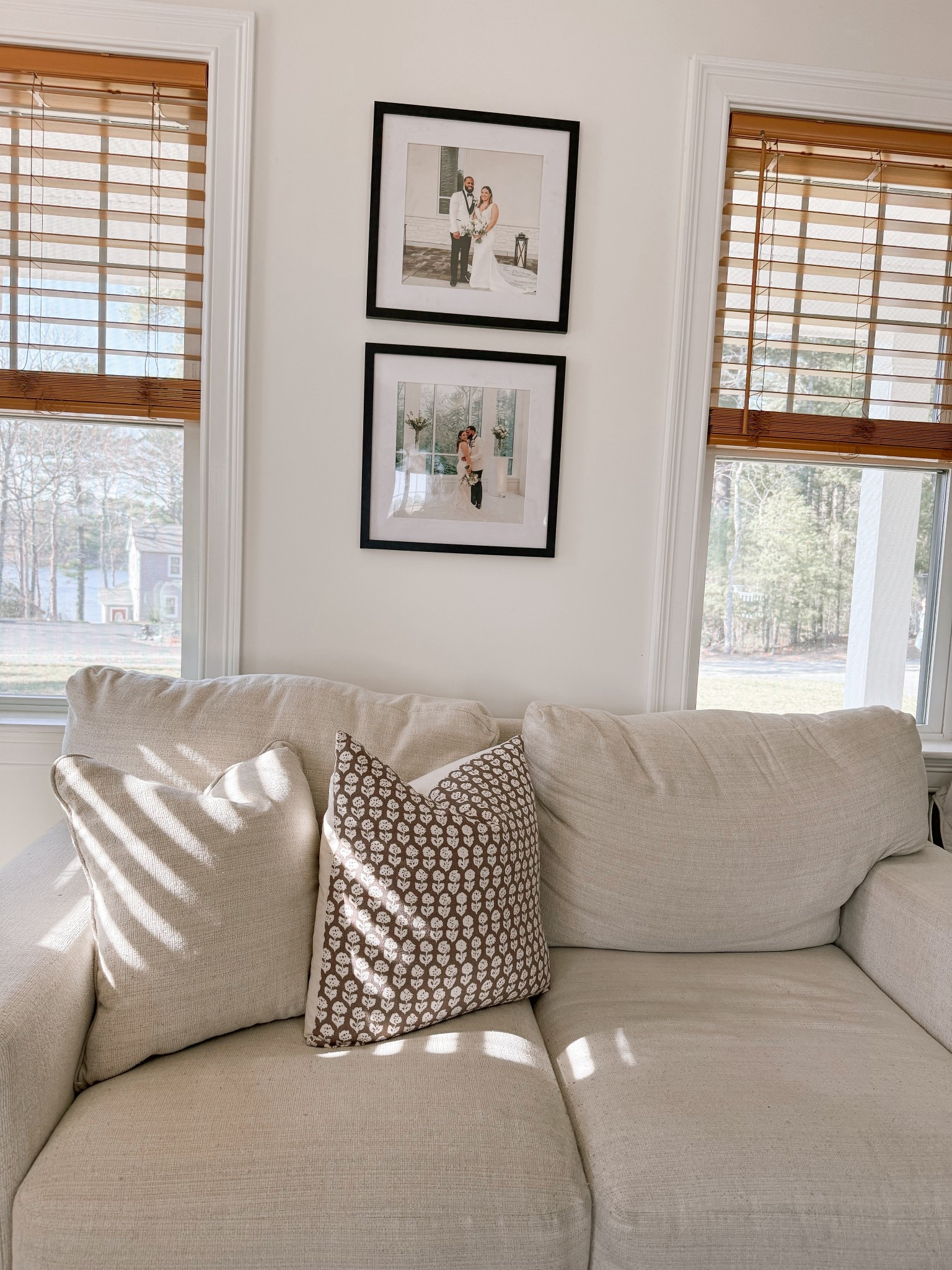 Living room pillowcases + blinds
