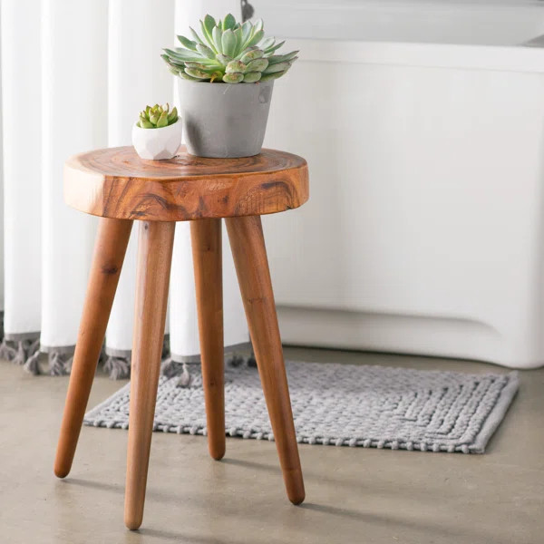 Seneca Accent Stool (Set of 2) | Wayfair North America
