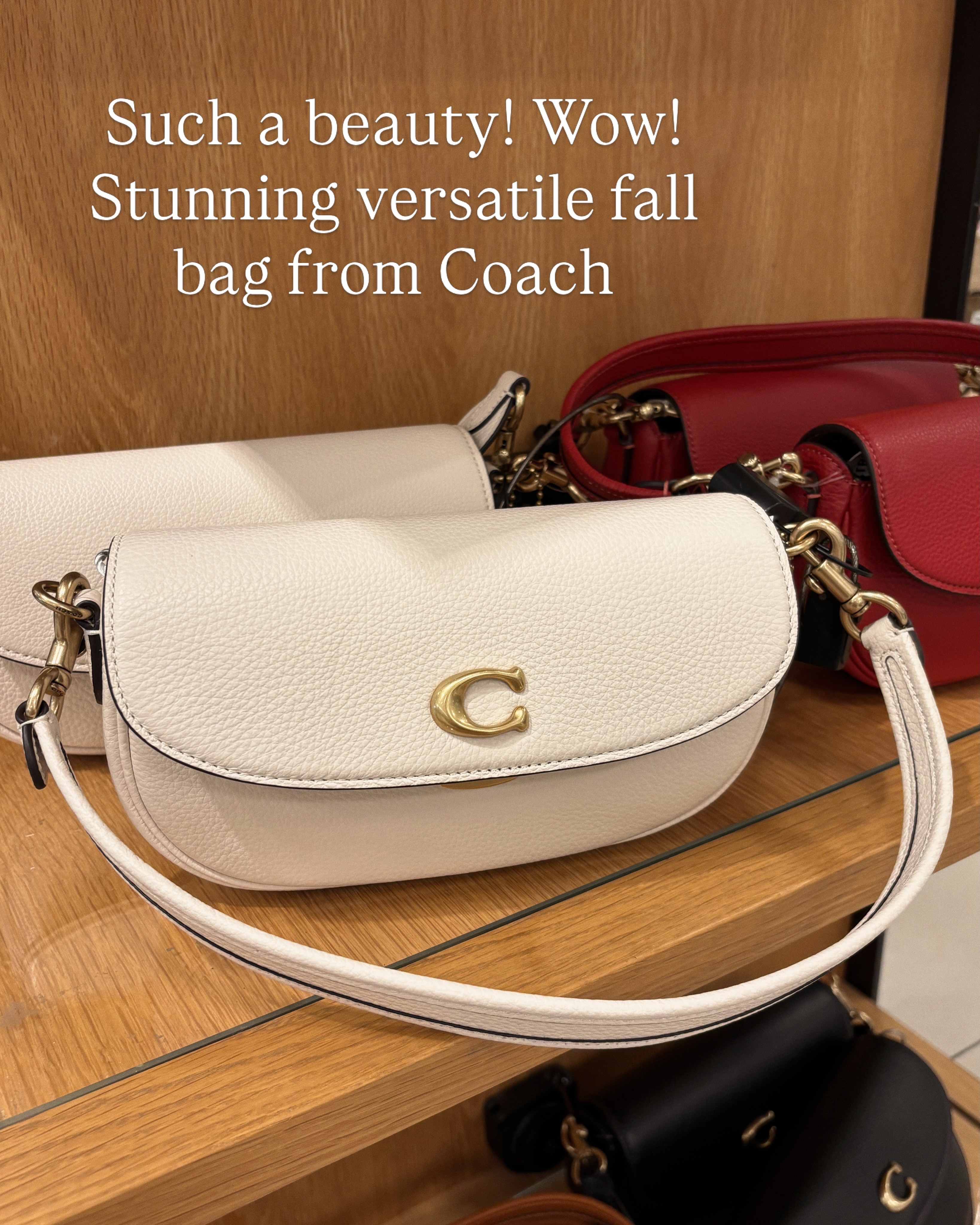 coach bag , nsale, nordstrom sale 

 #LTKSeasonal #LTKSaleAlert #LTKWorkwear