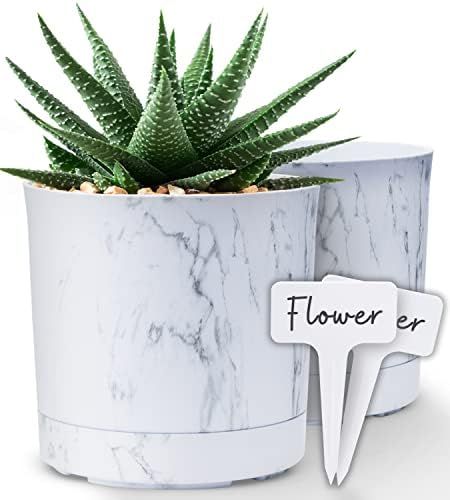 Neatness Plant Pots for Indoor Plants - Flower Pots for Indoor Plants Indoor Plant Pots Indoor Plant | Amazon (US)