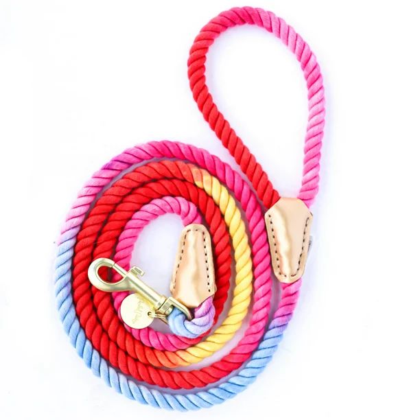 Packed Party Hold It! Rainbow Rope Dog Leash | Walmart (US)