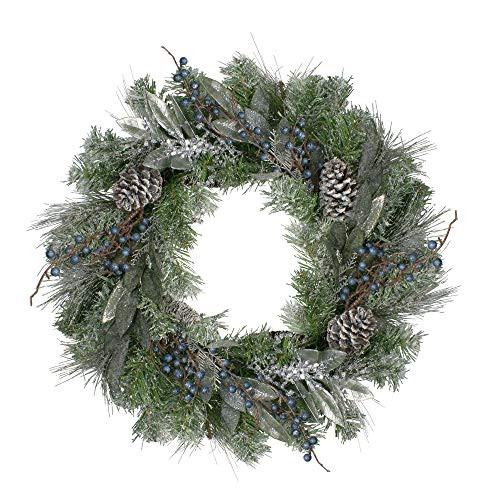 Northlight Mixed, Berries and Snowy Pine Cones Artificial Christmas Wreath-Unlit, 24", Blue | Amazon (US)