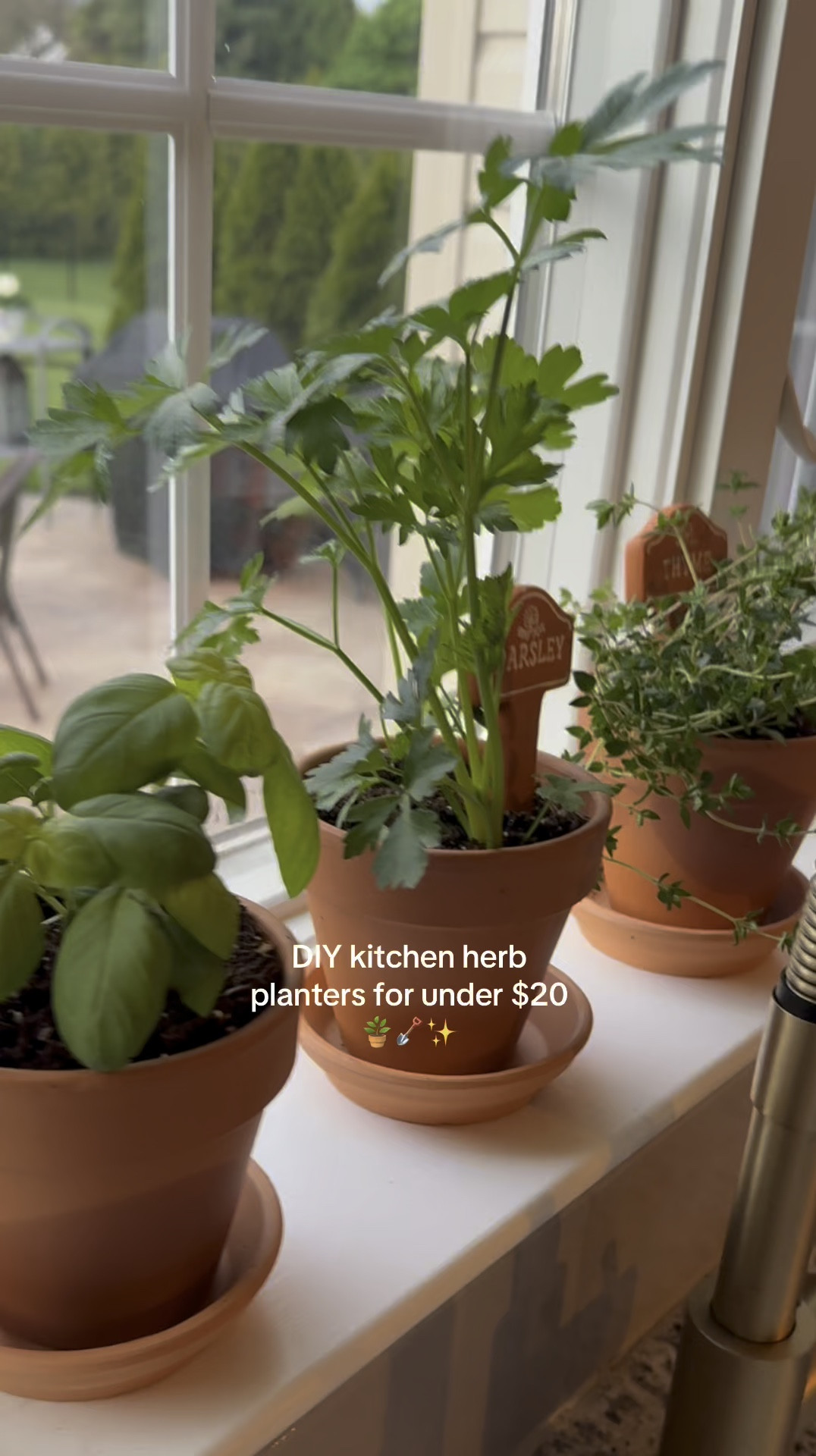 so excited for my little herb garden 🪴found these planters at hobby lobby & picked up the herbs at my local nursery! herb planters are place and time but linking other options in my LTK!