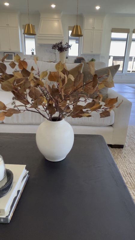 Your fall coffee table styling should include at least one large sculptural element!  Mine is this organic bowl from #crateandbarrel #fallhomedecor #modernorganic

#LTKhome