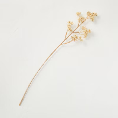18" Faux Bleached Berry Seed Stem - Hearth & Hand™ with Magnolia | Target