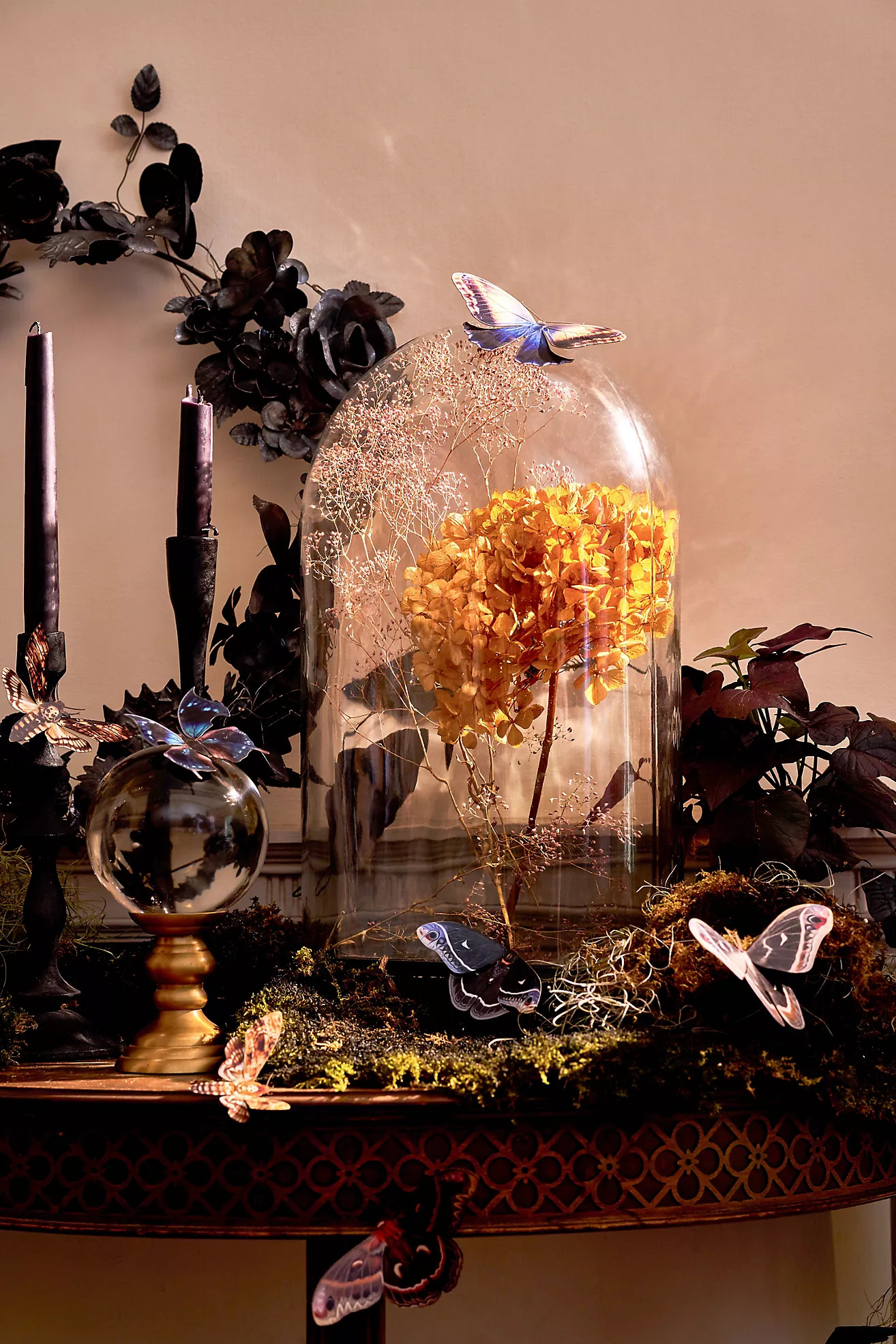 Oval Cloche with Distressed Wood Base | Anthropologie (US)