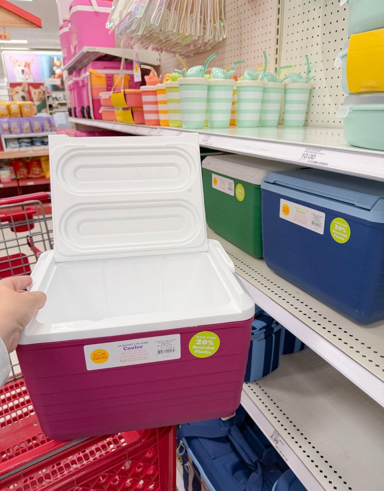 Summer gear is hitting Target and these $10 coolers from Sun Squad  are perfect for park days, beach trips, and sports! #SunSquad #TargetFinds #target

#LTKmomlife #LTKdayinmylife