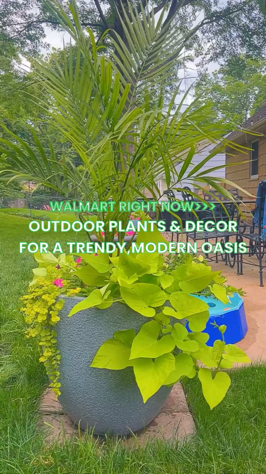 Walmart is POPPING OFFFFF this year. Found so many modern, trendy yet timeless items and they have leveled up our backyard and front porch x 100. Guests are always shocked when I say it’s all from Walmart!! Alsoooo: linked the exact flowers I planted in these beautiful planters 🌸The perfect low maintenance thriller, filler, and spillers. Giving the best tropical vibes.

#LTKSummerEdit #LTKHome #LTKFindsUnder50