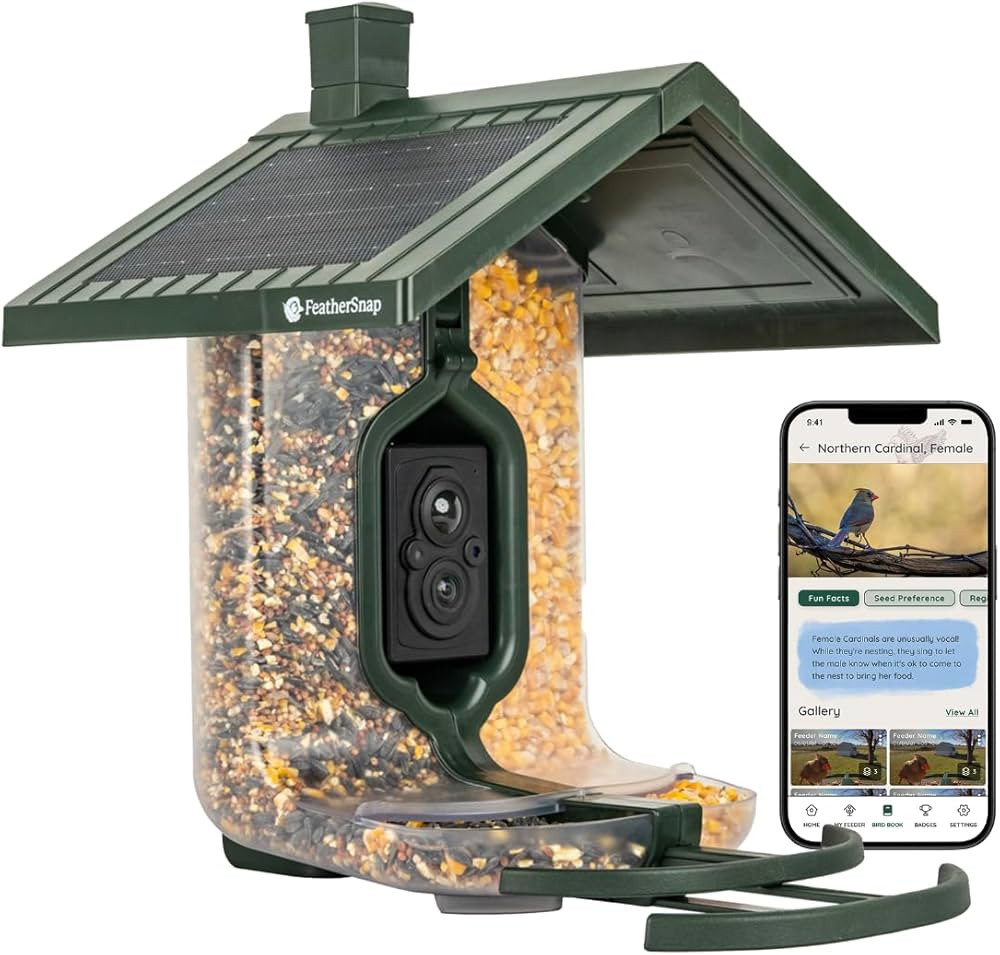 Scout Wi-Fi Solar Powered Smart Bird Feeder - Automatically Captures HD Pictures and Videos! Best... | Amazon (US)