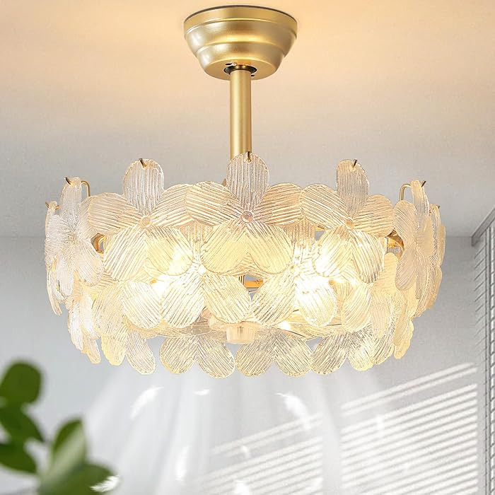 20'' Fandelier Ceiling Fans with Lights, Gold Caged Ceiling Fan with Remote Low Profile, 6 Speed ... | Amazon (US)