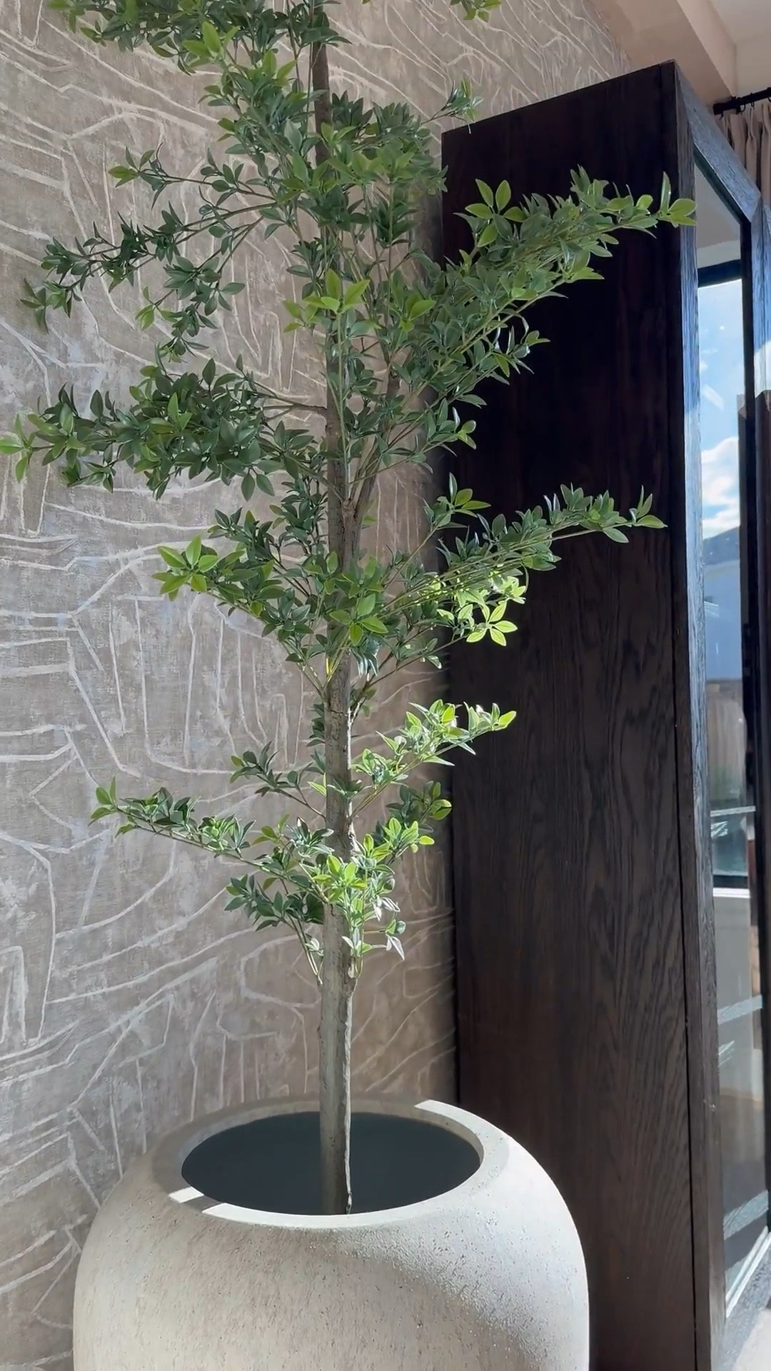 I am absolutely loving this planter from Pottery Barn! It's gorgeous, and the best part is that it's so versatile - it works perfectly for both bigger trees and smaller ones too! 🌳 I love it so much that I actually ended up buying another one, haha! 😆 It's definitely a game-changer for decorating any space. 

#LTKHome #LTKStyleTip #LTKSaleAlert