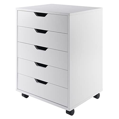Winsome Halifax Storage/Organization, 5 drawer, White | Amazon (US)
