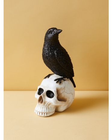 12in Raven On Skull Decor | HomeGoods