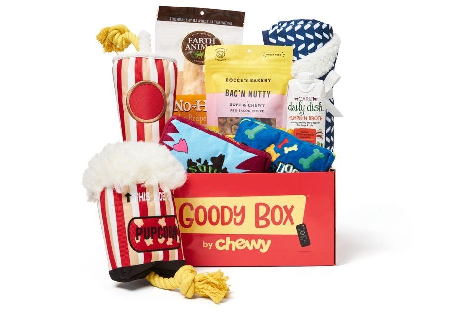 Goody Box Movie Night Dog Toys & Treats | Chewy.com