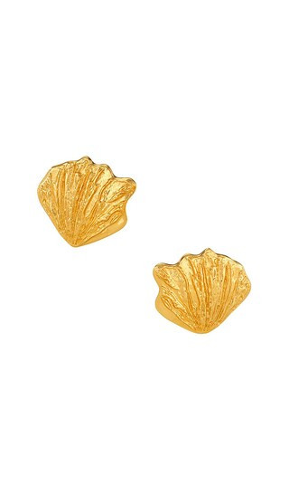 AUREUM Oyster Earrings in Metallic Gold. | Revolve Clothing (Global)