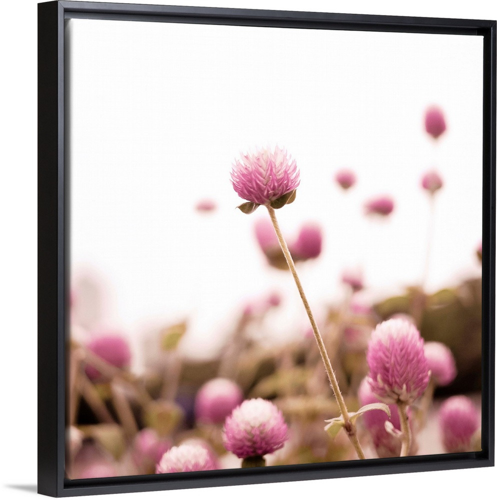 Pink flowers. Wall Art | Great Big Canvas - Dynamic