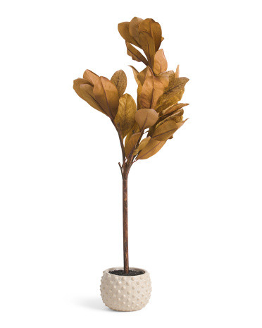 47in Magnolia Tree | Marshalls