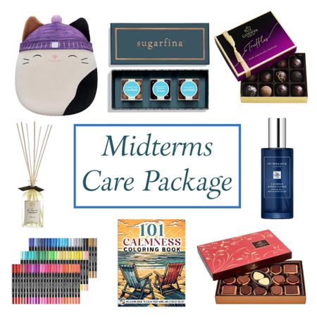 It’s midterms at the colleges! Here are a few ideas to include in a midterms care package ❤️ details on the blog ❤️

#LTKGiftGuide #LTKU #LTKfindsunder100