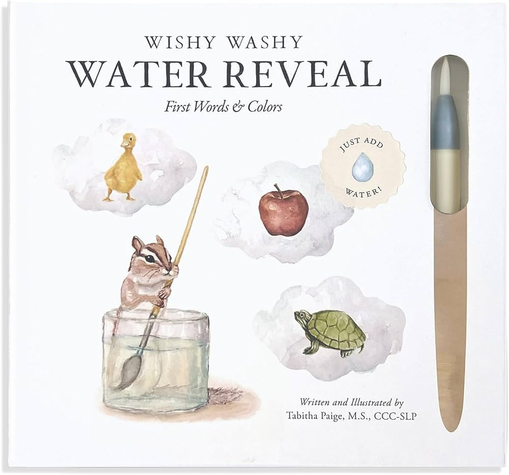 Wishy Washy (Water Reveal Edition): A Reusable Water Reveal Activity Book Teaching First Words an... | Amazon (US)