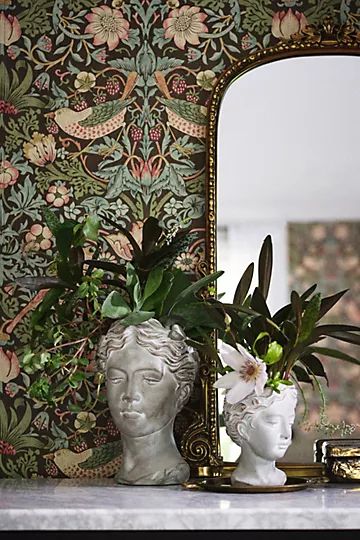 Grecian Bust Pot | Anthropologie (US)