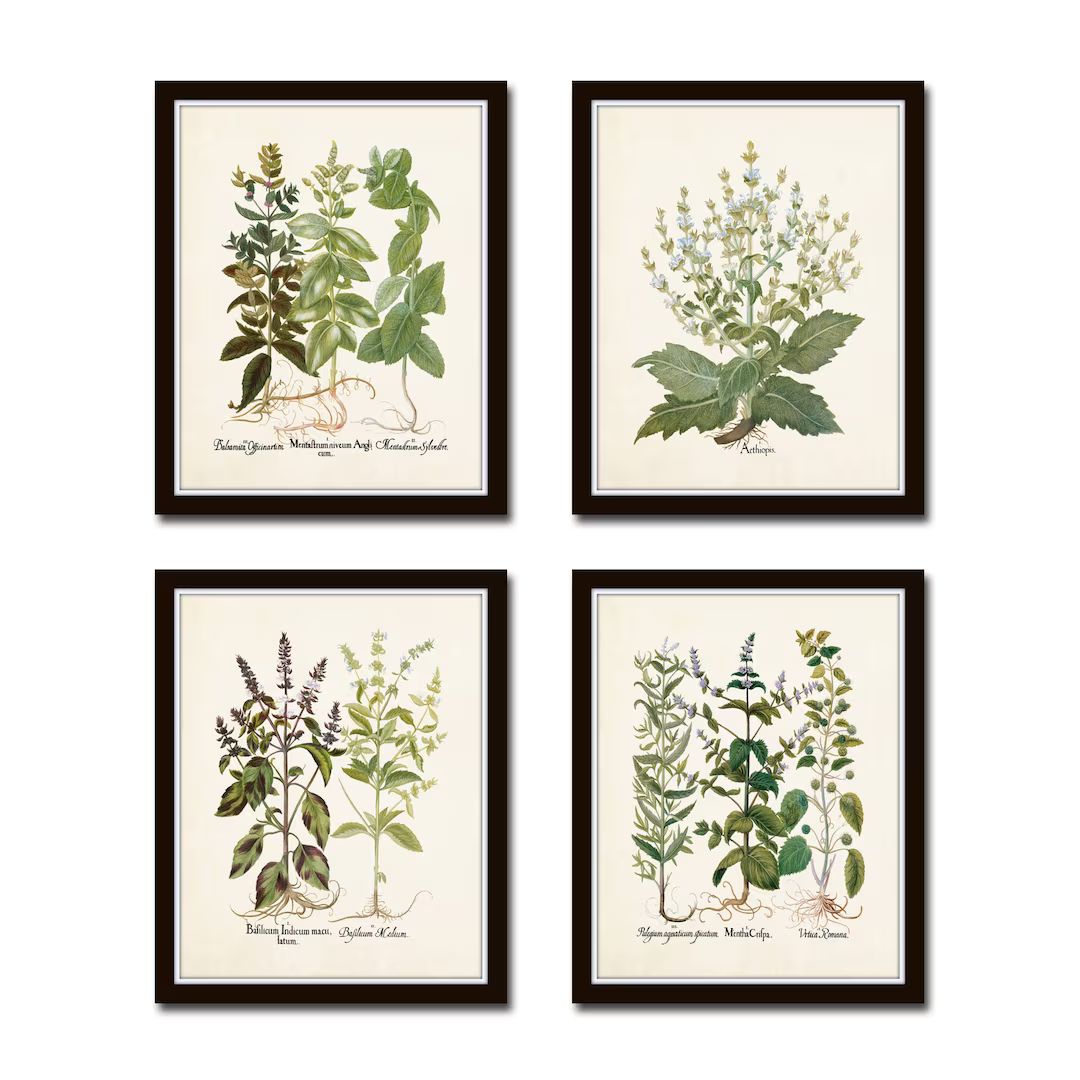 Antique Herbs Print Set No. 29 Herb Prints Botanical Prints - Etsy | Etsy (US)