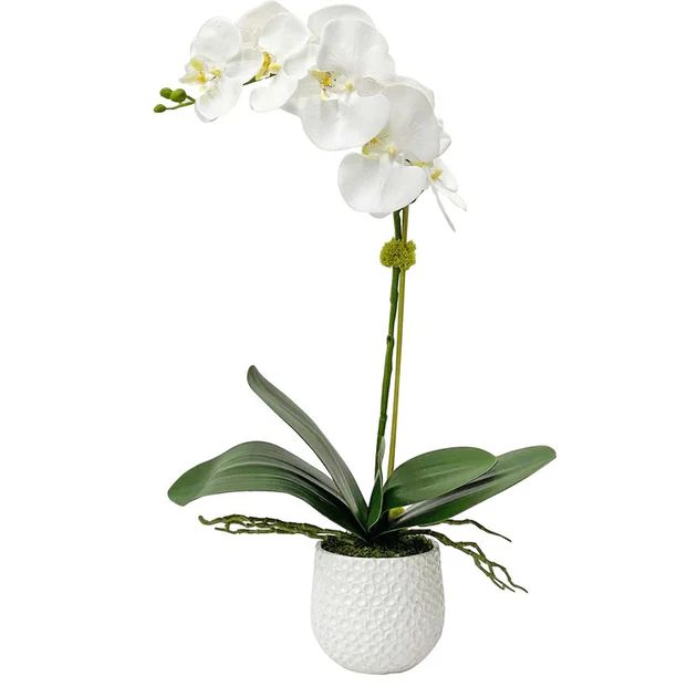 Cami White Orchid Faux Floral Arrangement | Riverbend Home
