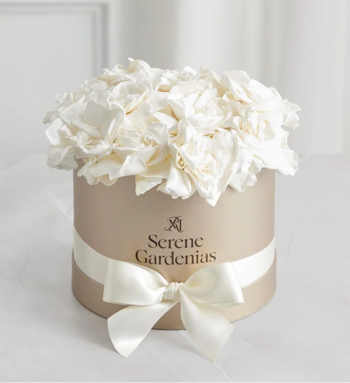 Preserved Serene Gardenias by Magnificent Roses® | 1800flowers.com