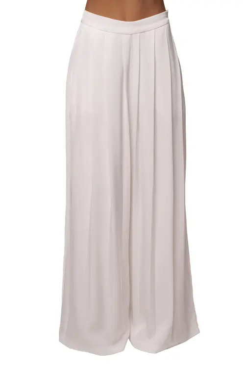JLUXLABEL Clara Wide Leg Pleated Trousers in Ivory at Nordstrom, Size Large | Nordstrom