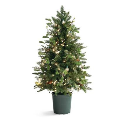 Majestic Holiday Pathway Tree | Frontgate