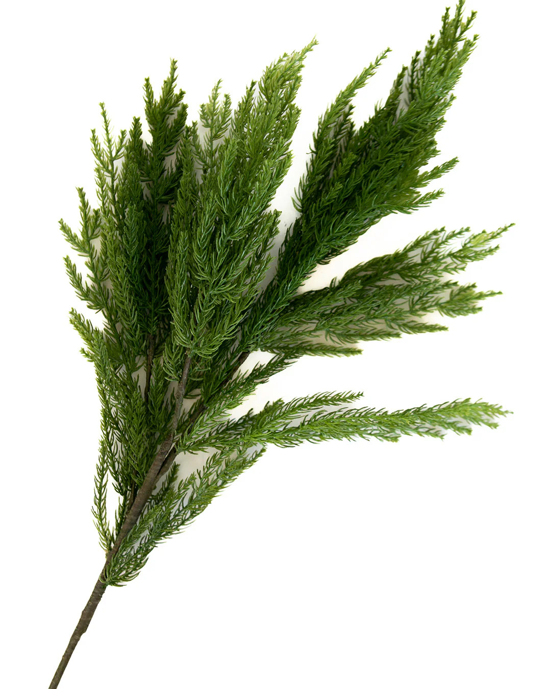 Alpine Stem | Elements by Remedy