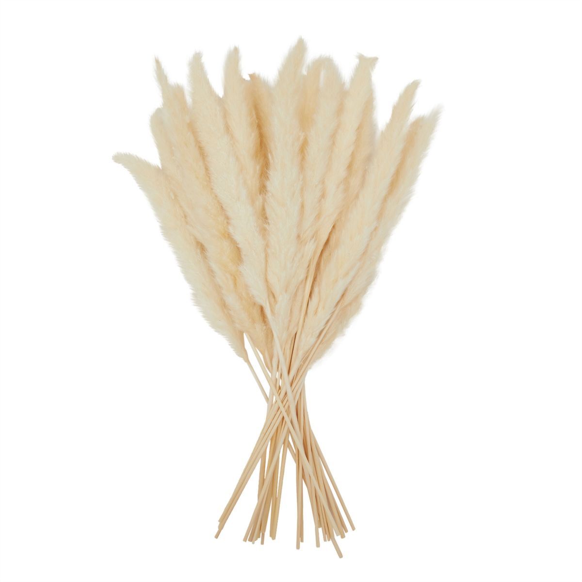 Juvale 30 Pack Dried White Pampas Grass for Vase, Wedding, Rustic-Style Farmhouse Decor, Boho-The... | Target