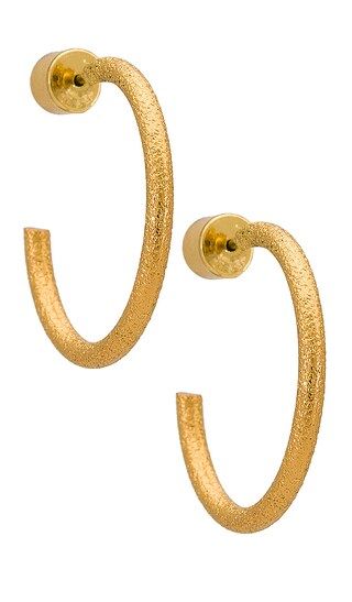 Her Extra AF Mini Hoops in Gold | Revolve Clothing (Global)
